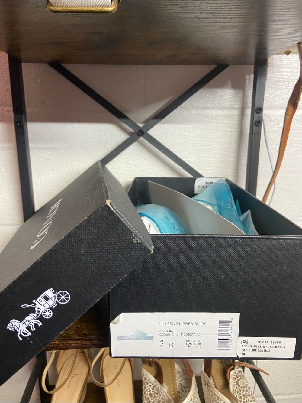 Coach Blue Translucent Rubber Slide Sandals - Picture 5 of 5